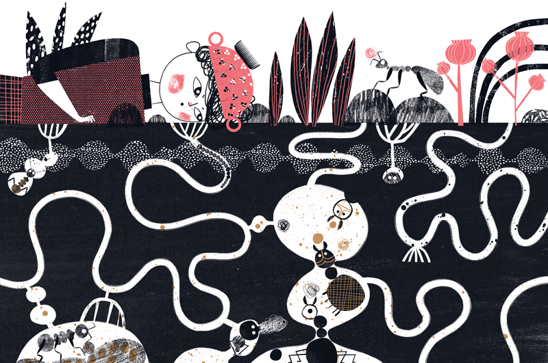 Ilustracje do książki&nbsp;&bdquo;Lodorosty i bluszczary&rdquo;. Wiele z nich obejrzymy na wystawie w Klubie pod Kolumnami