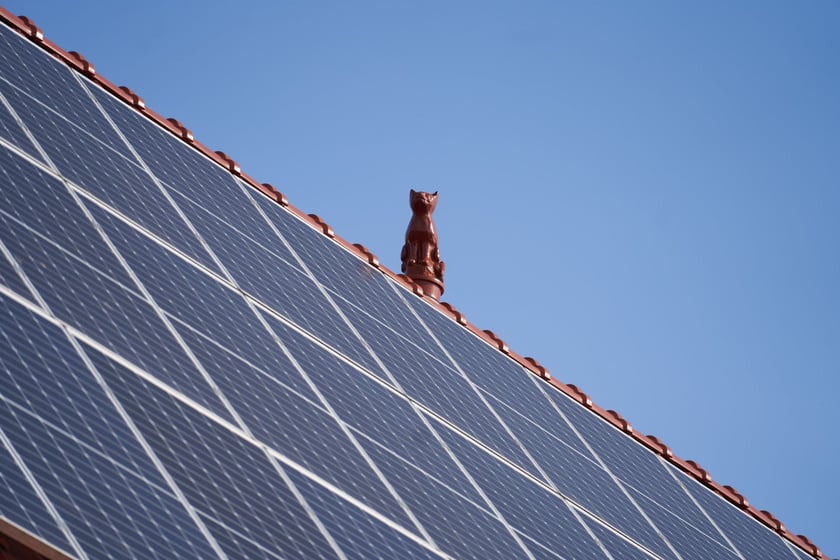 Kulturalna Stodoła. Dach