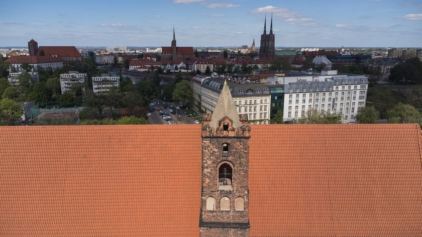 Wirydarz Muzeum Architektury