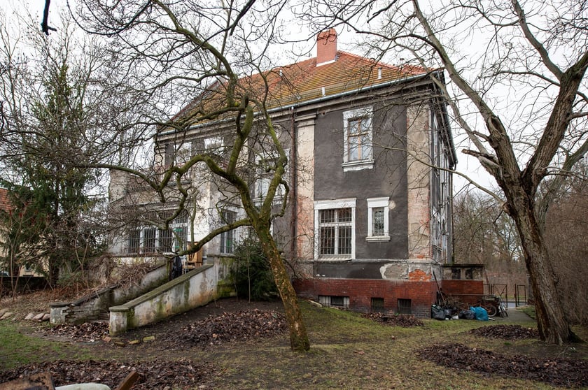 Przestrzenie (Brochów) Survivalu 2024