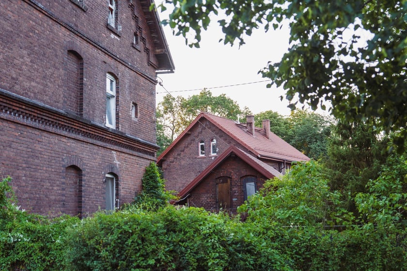 Survival 2024 i Brochów