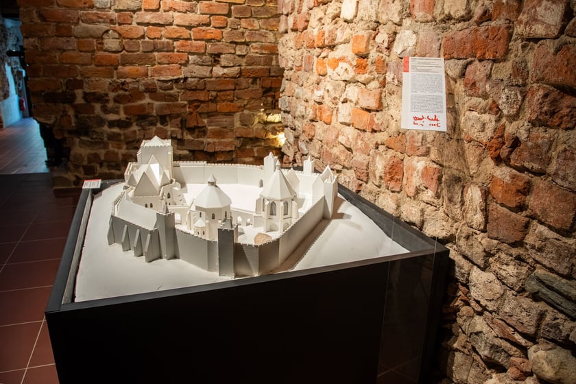 Makieta zamku Henryka IV Probusa