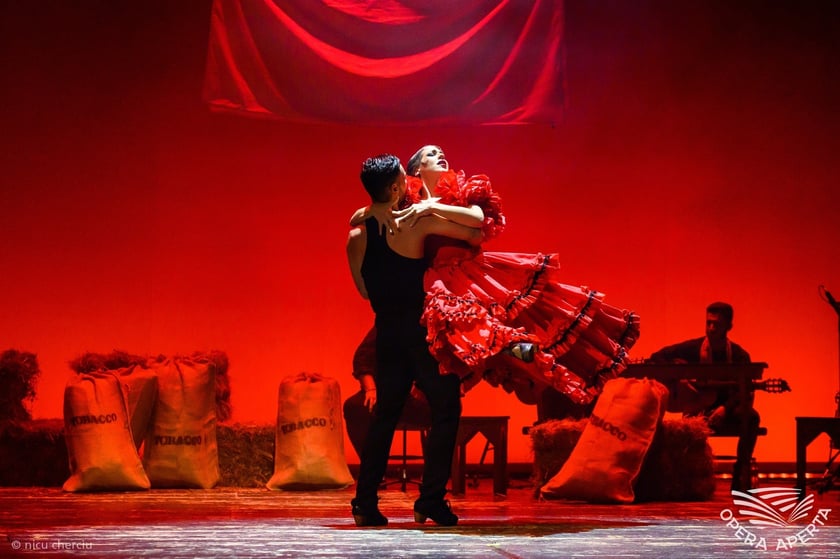 Barcelona Flamenco Ballet, Carmen