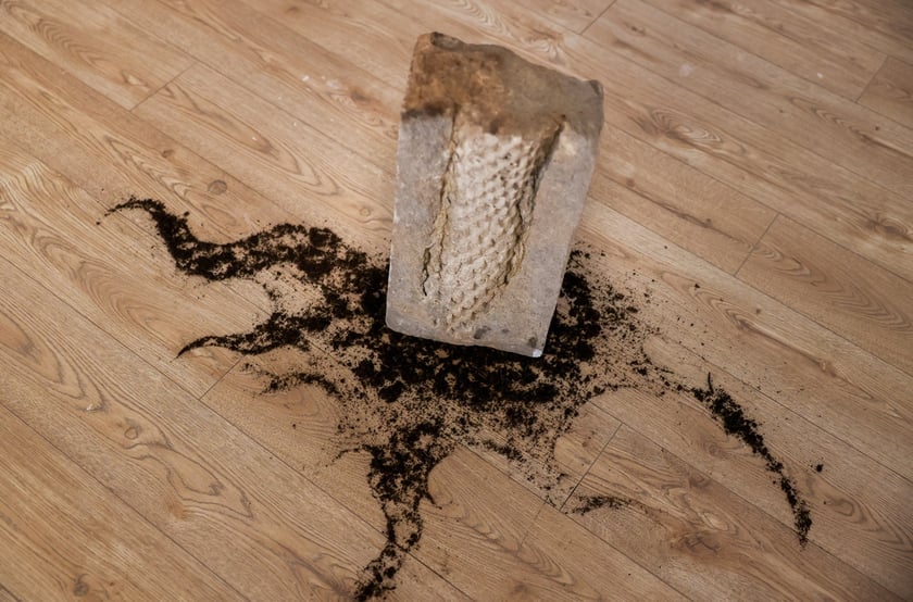 Zdjęcie z wystawy "Świątynia Baśni" w galerii BWA Wrocław Główny