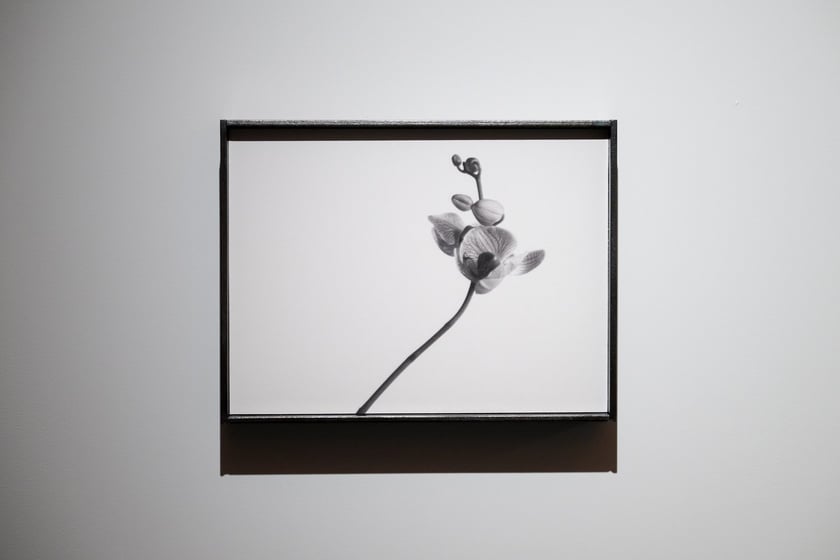 Wystawa &bdquo;Trafienie&rdquo; w Krupa Art Foundation