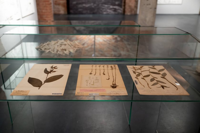 Wystawa &bdquo;Trafienie&rdquo; w Krupa Art Foundation