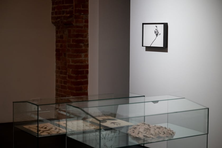 Wystawa &bdquo;Trafienie&rdquo; w Krupa Art Foundation