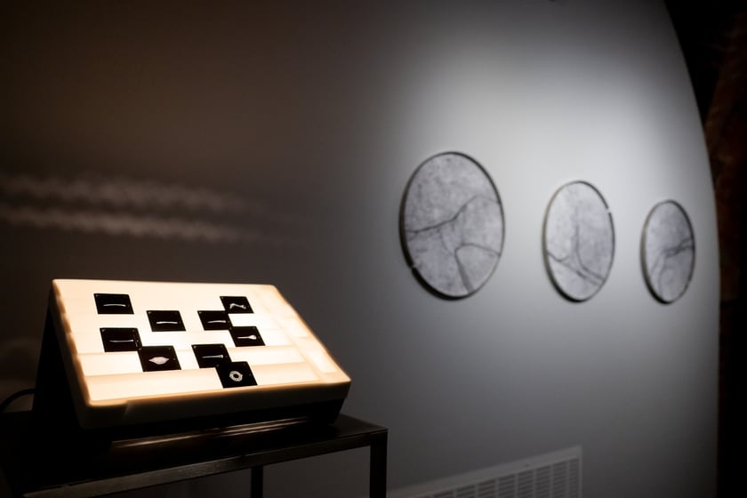 Wystawa &bdquo;Trafienie&rdquo; w Krupa Art Foundation