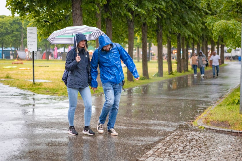 Ostatni dzień 3-Maj&oacute;wki, na scenach m.in.: Kult, Nocny Kochanek, The Rumjacks, KSU, Mrozu