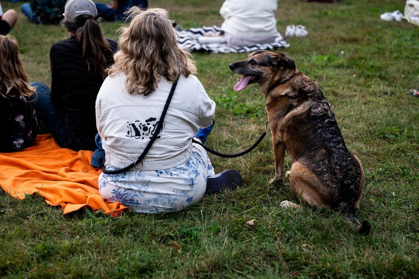 Koncert Kasi Pakosy i Roberta Jarmużka w parku Grabiszyńskim, 5 września 2025