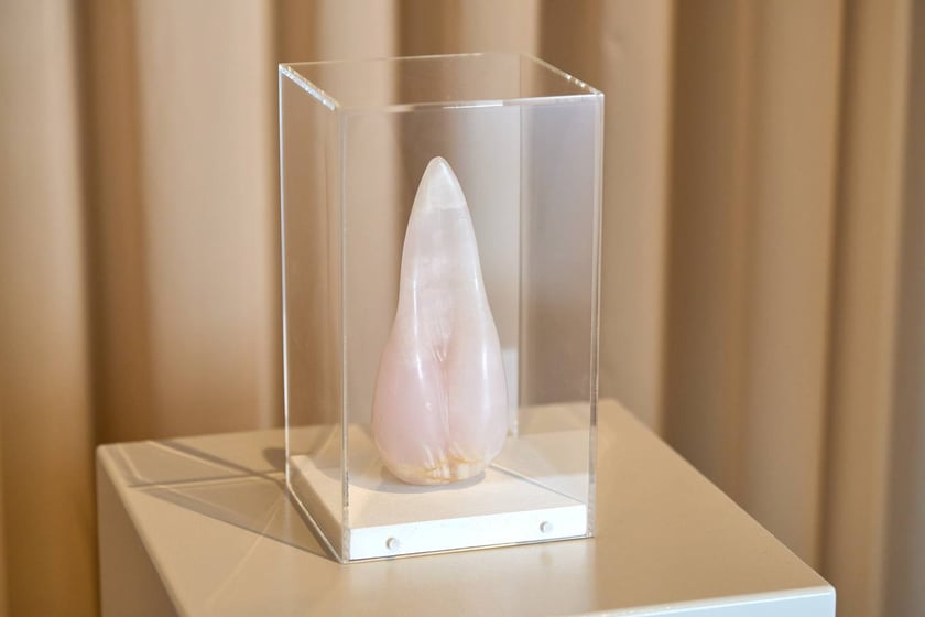 Wystawa &bdquo;Ciało. Rozkosz i b&oacute;l&rdquo; w Krupa Art Foundation potrwa do 18 stycznia 2026