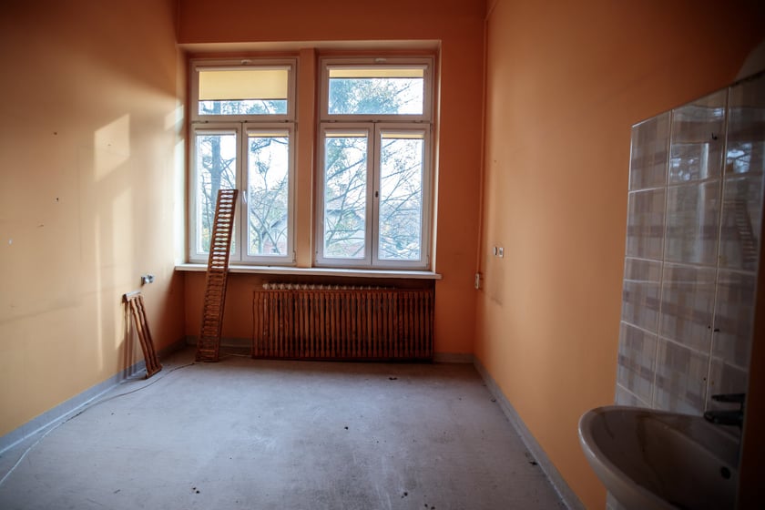 Kliniki na Bujwida - miejsce Survivalu 2026