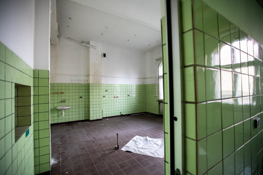 Kliniki na Bujwida - miejsce Survivalu 2026