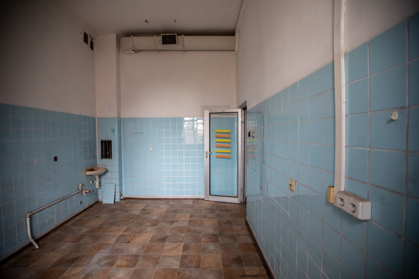 Kliniki na Bujwida - miejsce Survivalu 2026