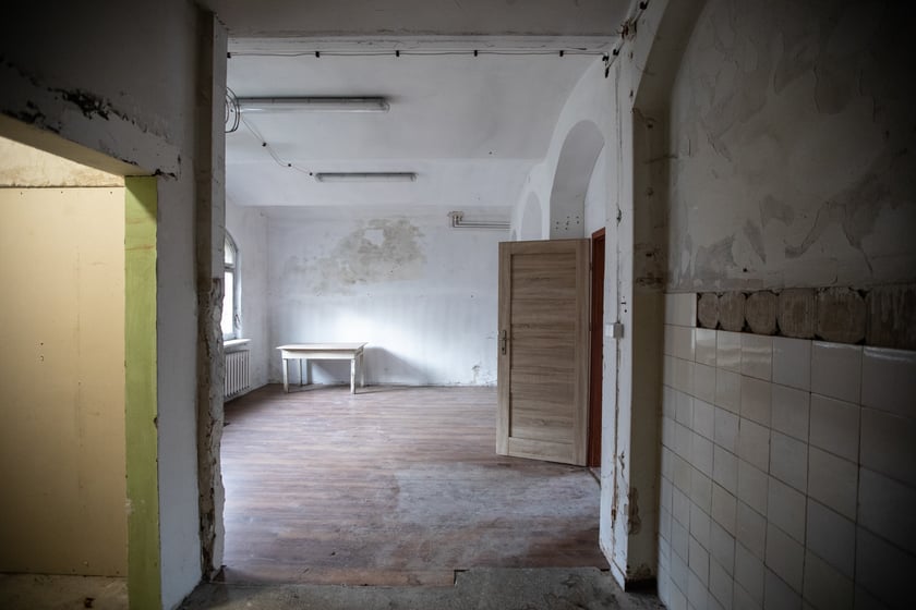 Kliniki na Bujwida - miejsce Survivalu 2026