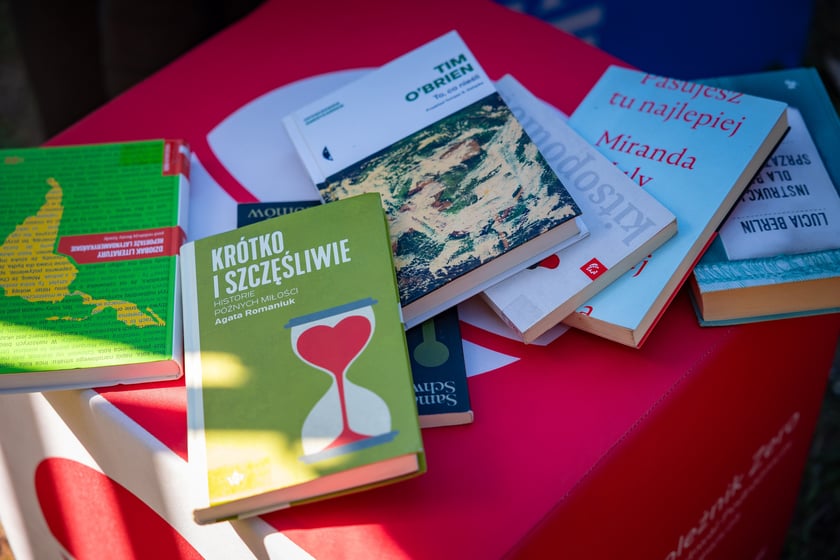 Piknik w Parku Południowym, 4 lipca 2026