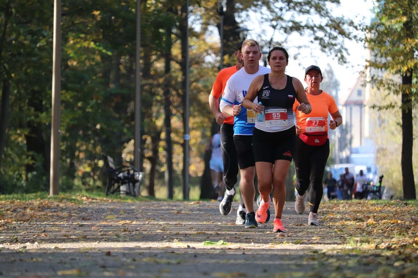 Krośnicki Bieg Pełną Parą, 29 października, Krośnice (pow. Milicki). Dolina Baryczy, zieleń i świetnie zorganizowana, kameralna impreza, na której można pobiec zarówno 5 km, jak i 10 km. Po biegu odbywa się losowanie nagród! To już czwarta edycja wydarzenia, które z roku na rok cieszy się coraz większym zainteresowaniem lokalnych ? i nie tylko! ? zawodników.