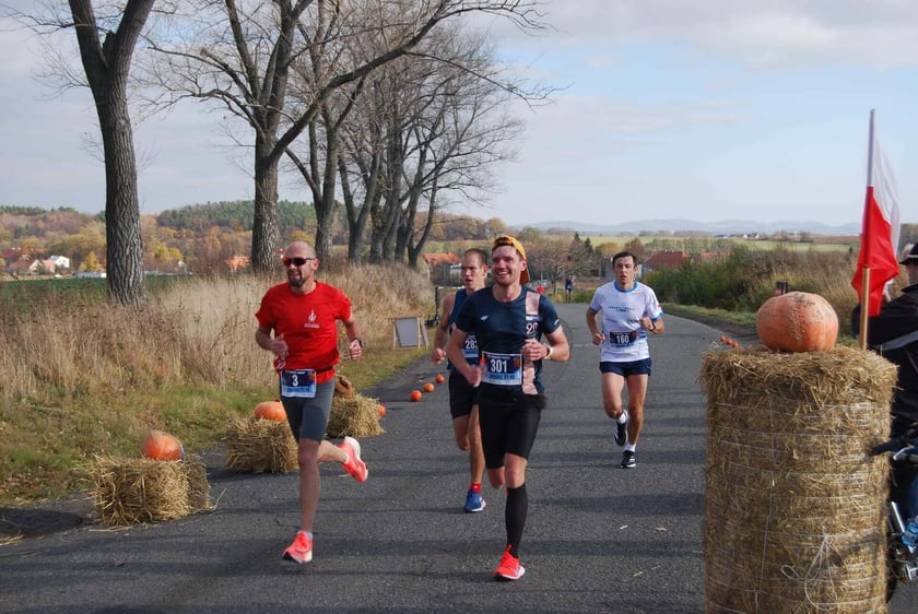 RST Półmaraton Świdnicki, 5 listopada, Świdnica. Półmaraton dla doświadczonych biegaczy, Dzika Piątka dla tych początkujących, a także biegi towarzyszące dla najmłodszych ? w Świdnicy każdy znajdzie coś dla siebie.