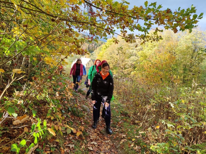 Wrocławskie morsy w Karkonoszach