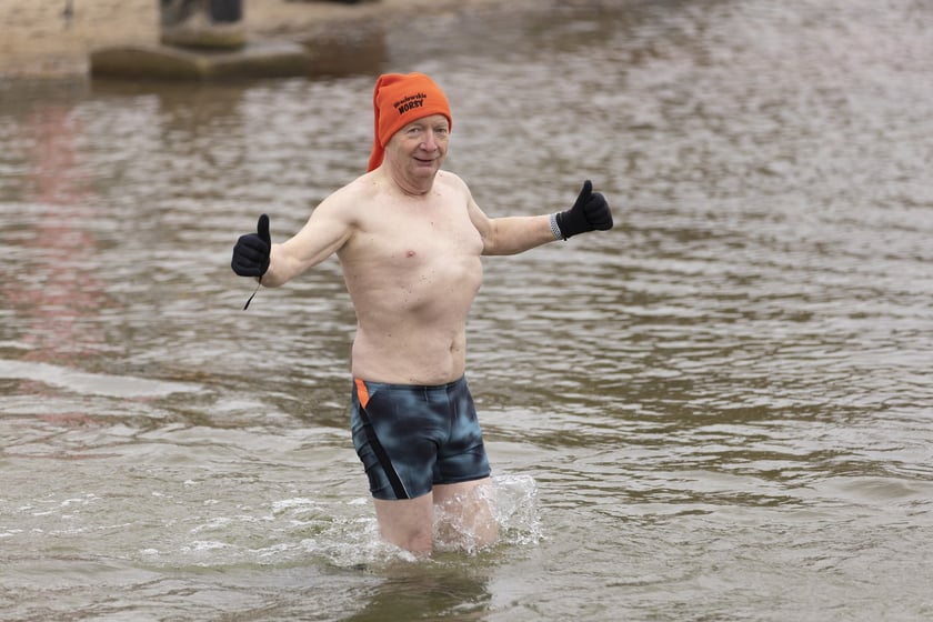 Tak morsy z Wrocławia ubierały choinkę