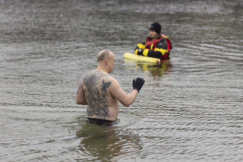 Tak morsy z Wrocławia ubierały choinkę