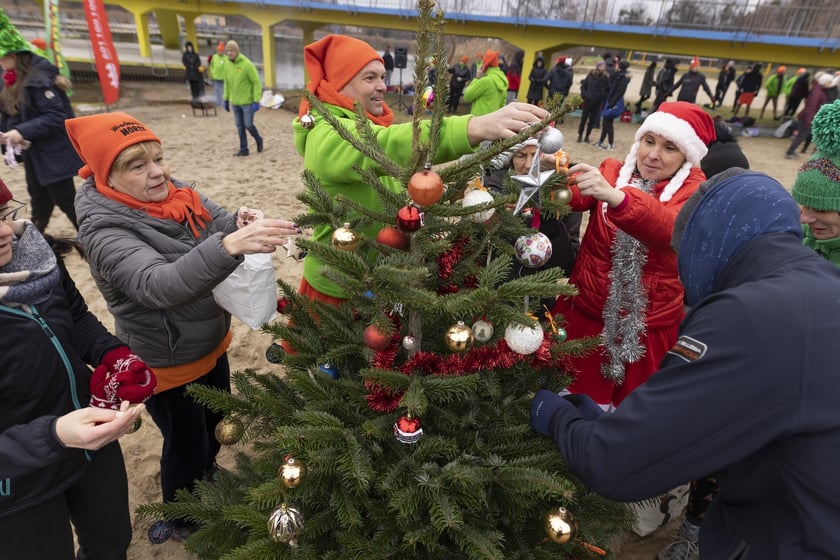 Tak morsy z Wrocławia ubierały choinkę