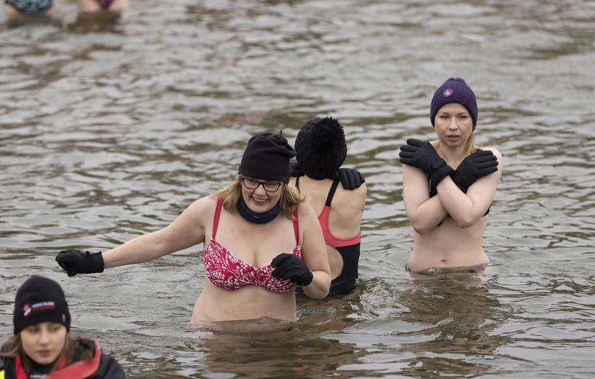 Tak morsy z Wrocławia ubierały choinkę