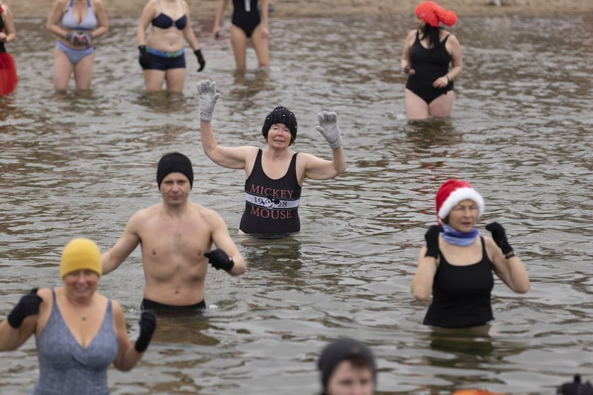 Tak morsy z Wrocławia ubierały choinkę