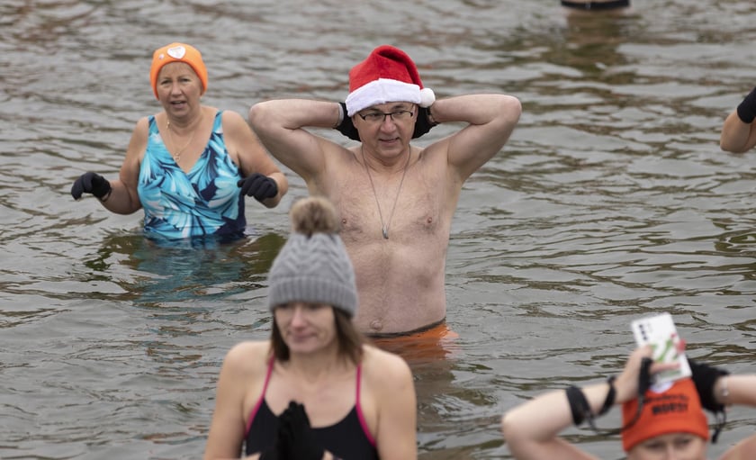 Tak morsy z Wrocławia ubierały choinkę