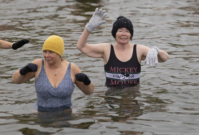 Tak morsy z Wrocławia ubierały choinkę