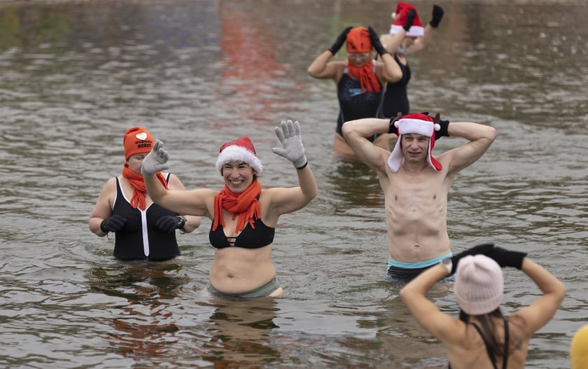 Tak morsy z Wrocławia ubierały choinkę