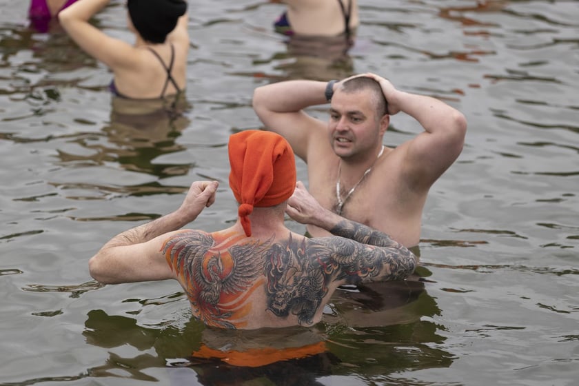 Tak morsy z Wrocławia ubierały choinkę