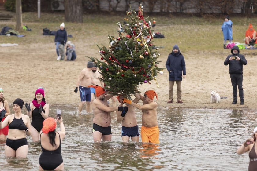 Tak morsy z Wrocławia ubierały choinkę