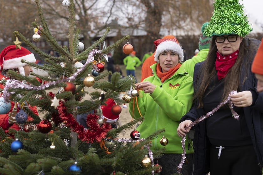 Tak morsy z Wrocławia ubierały choinkę