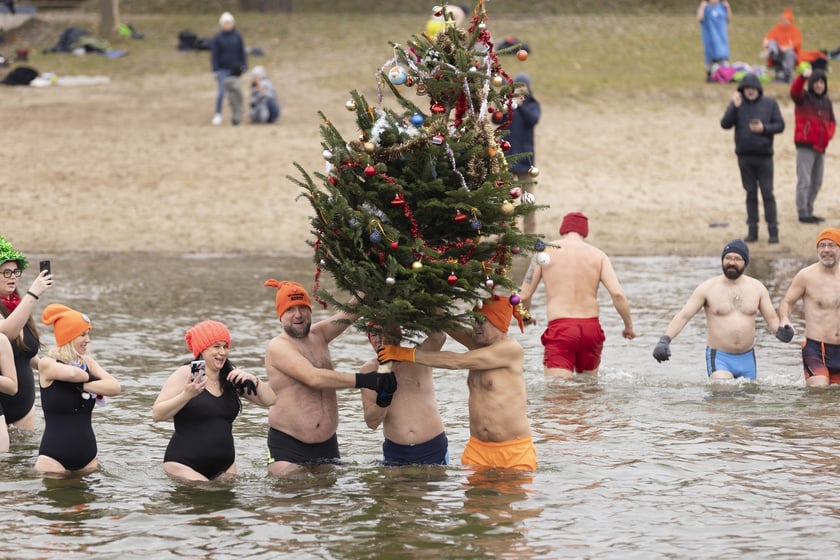 Tak morsy z Wrocławia ubierały choinkę