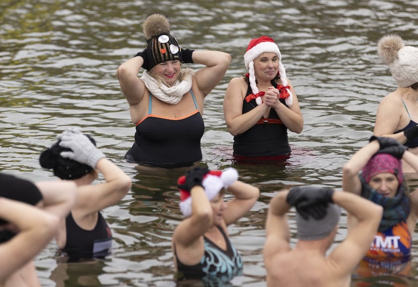 Tak morsy z Wrocławia ubierały choinkę