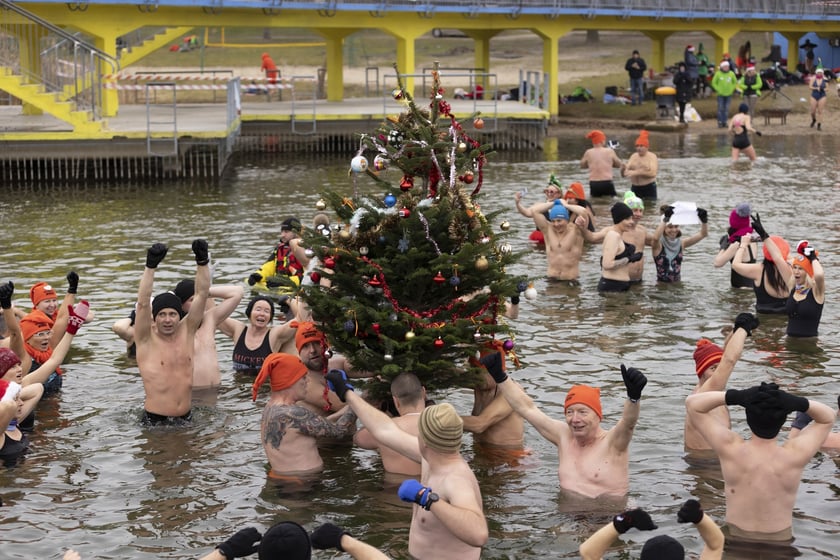 Tak morsy z Wrocławia ubierały choinkę