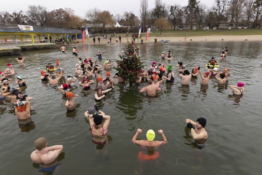 Tak morsy z Wrocławia ubierały choinkę
