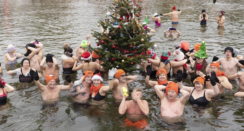 Tak morsy z Wrocławia ubierały choinkę