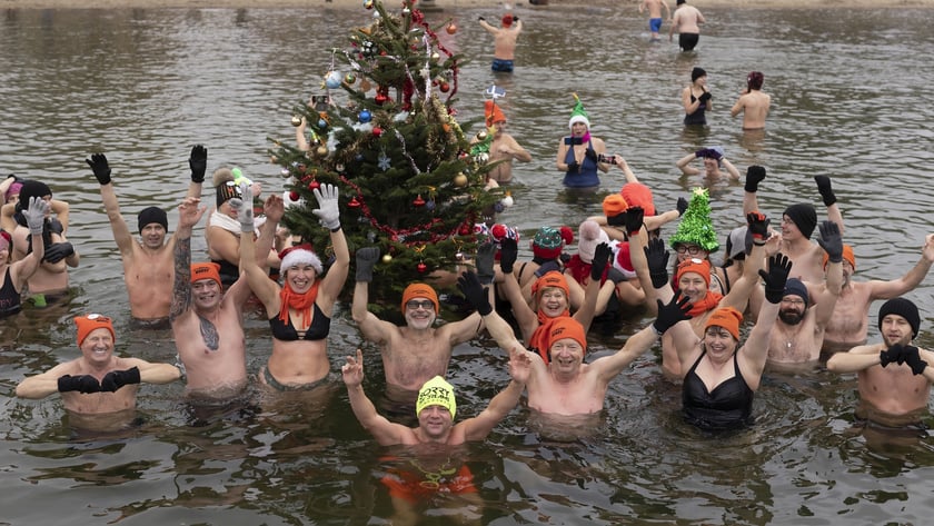 Tak morsy z Wrocławia ubierały choinkę