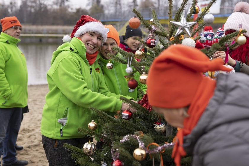 Tak morsy z Wrocławia ubierały choinkę