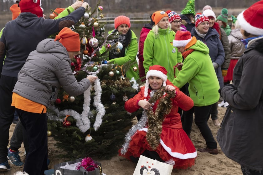 Tak morsy z Wrocławia ubierały choinkę