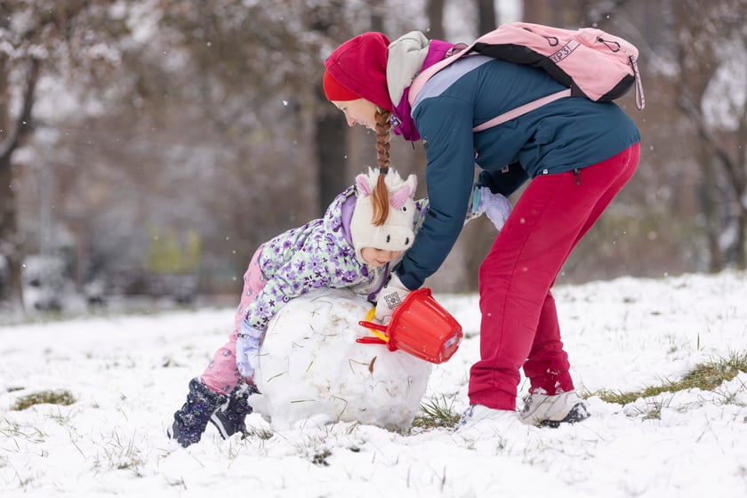 Górka Szczepińska - znajduje się przy ul. Gnieźnieńskiej. Ma wysokość 124 m n.p.m.