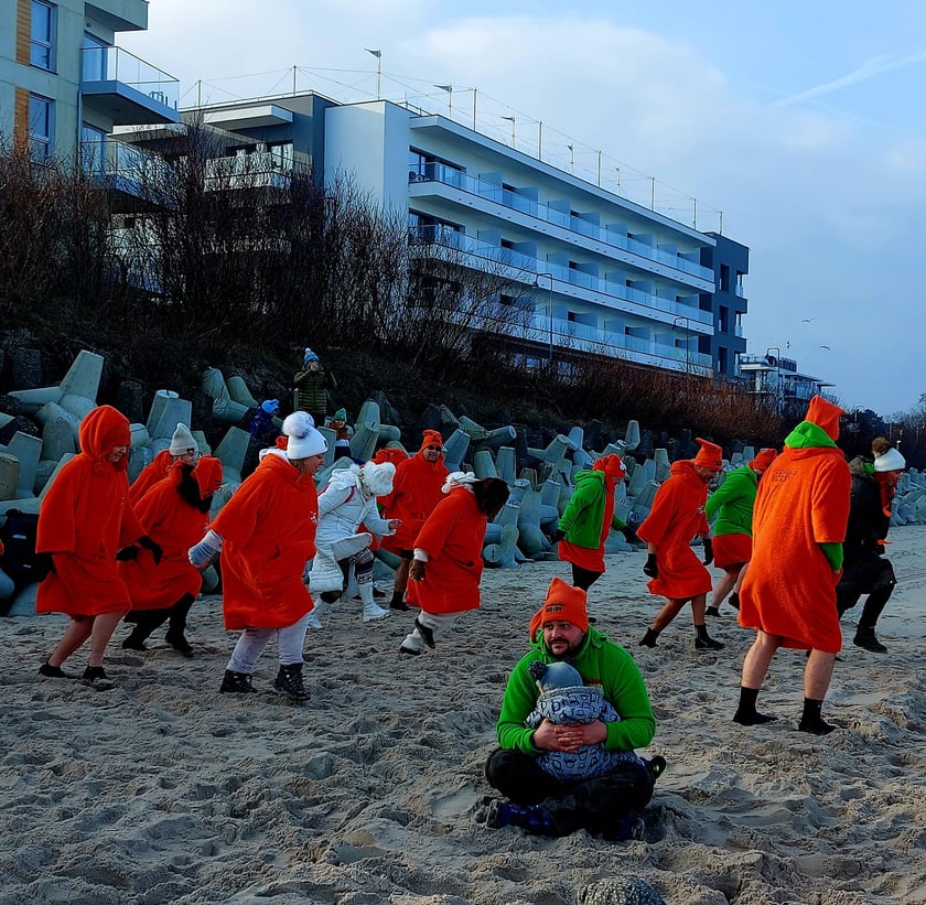 Na zdjęciu widać morsy z Wrocławia w Mielnie