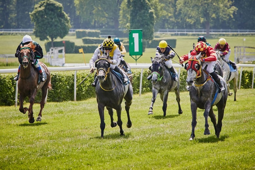 Jeźdźcy i uczestnicy zawodów na Partynicach