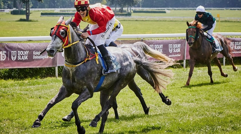 Jeźdźcy i uczestnicy zawodów na Partynicach