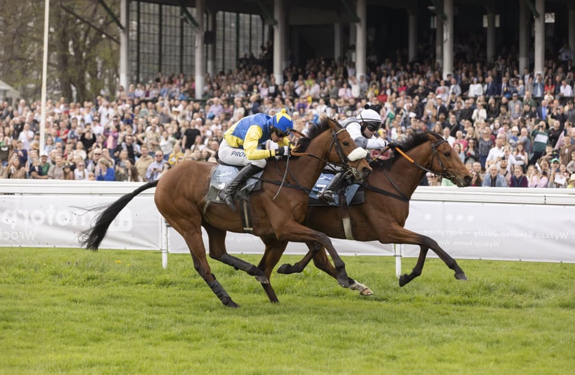 Dzień wyścigowy na Wrocławskim Torze Wyścigów Konnych na Partynicach