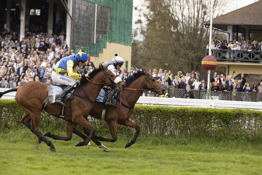 Dzień wyścigowy na Wrocławskim Torze Wyścigów Konnych na Partynicach