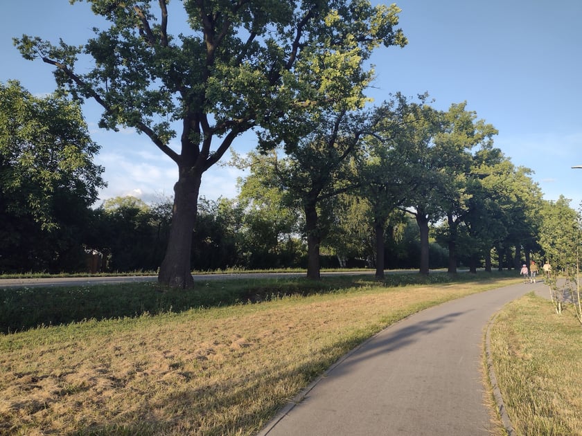 Ścieżka rowerowa wzdłuż ulicy Konduktorskiej