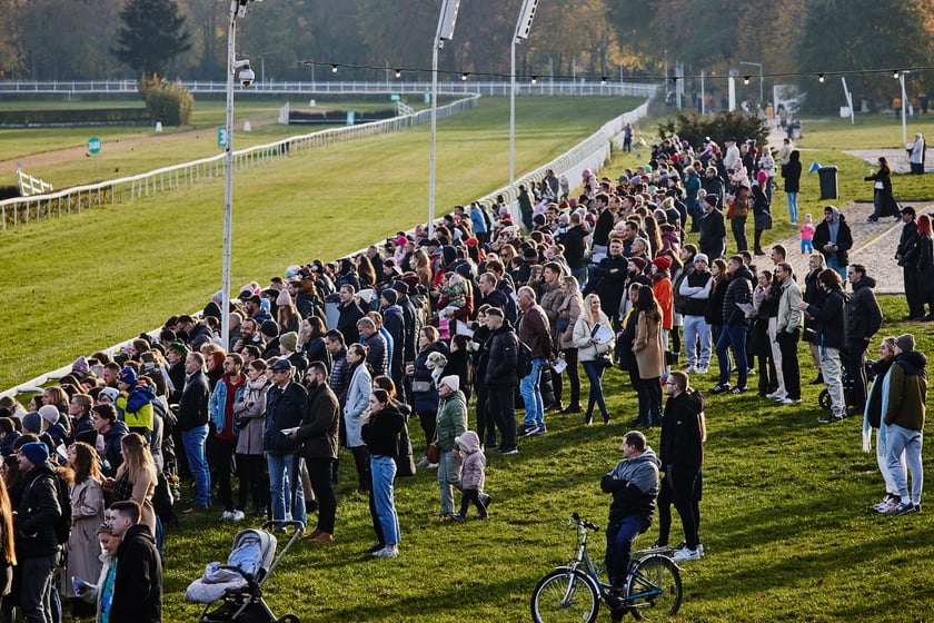 Ostatni dzień gonitw w sezonie 2023 na Partynicach